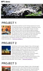 portfolio-posts Wordpress 3 custom post type