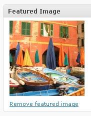 portfolio-thumbnail wordpress featured image